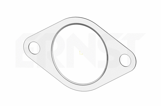 Gasket, exhaust pipe (494106)