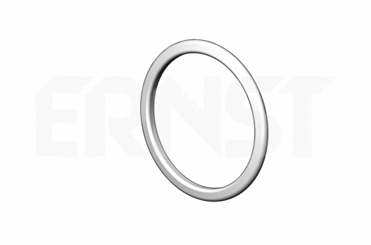 Seal Ring, exhaust pipe (499323)