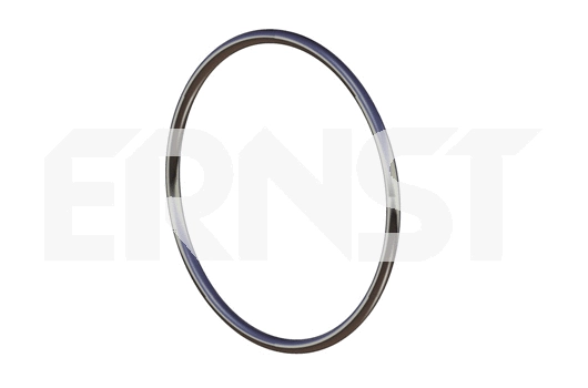 Seal Ring, exhaust pipe (491716)