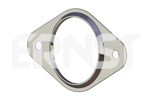 Gasket, exhaust pipe (492362)