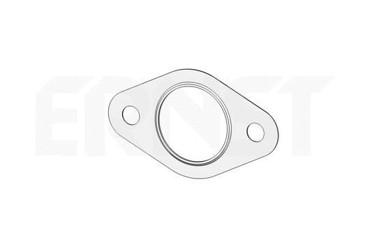 Gasket, exhaust pipe (495134)
