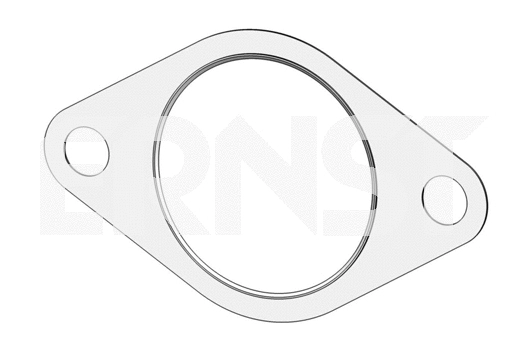 Gasket, exhaust pipe (492706)