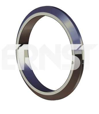 Seal Ring, exhaust pipe (493925)