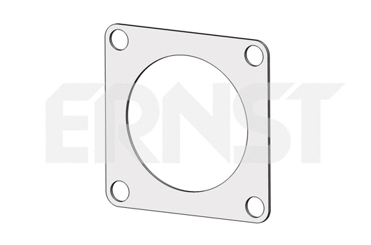 Gasket, exhaust pipe (496247)