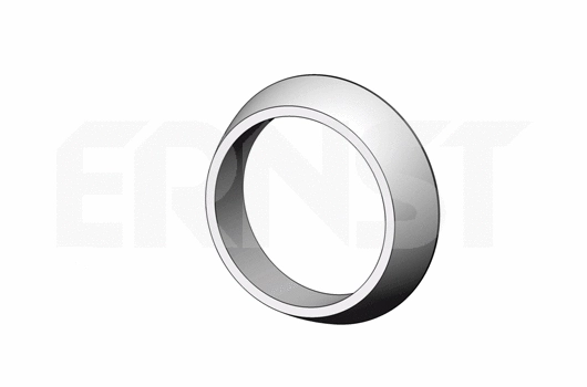 Seal Ring, exhaust pipe (495929)