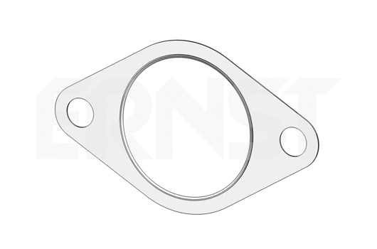 Gasket, exhaust pipe (494335)
