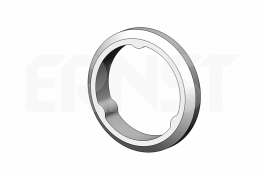 Seal Ring, exhaust pipe (498715)
