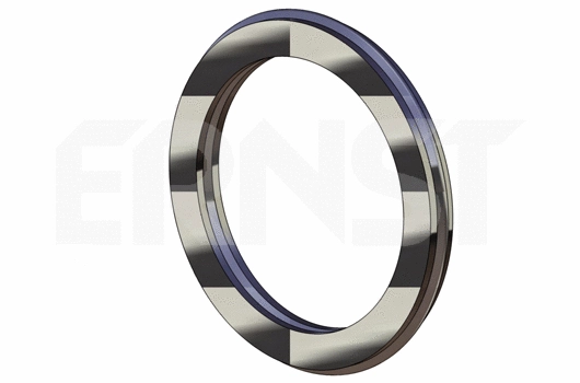 Seal Ring, exhaust pipe (493123)