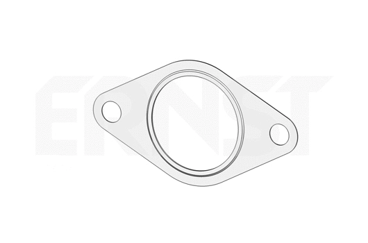 Gasket, exhaust pipe (495127)