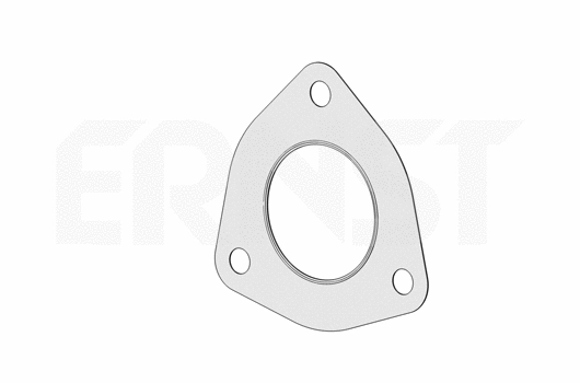 Gasket, exhaust pipe (494014)