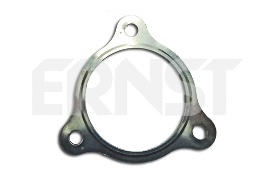 Gasket, exhaust pipe (490467)