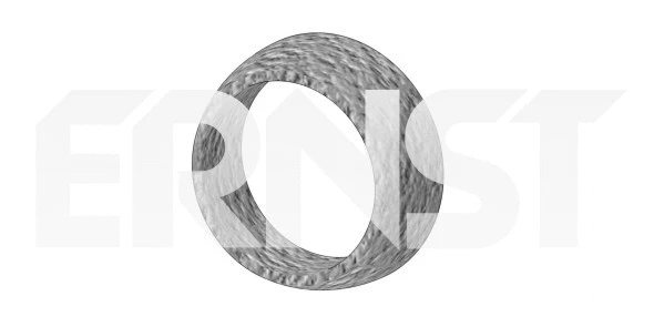 Seal Ring, exhaust pipe (490993)