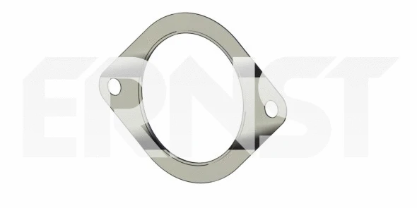 Gasket, exhaust pipe (490788)