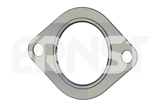 Gasket, exhaust pipe (491648)