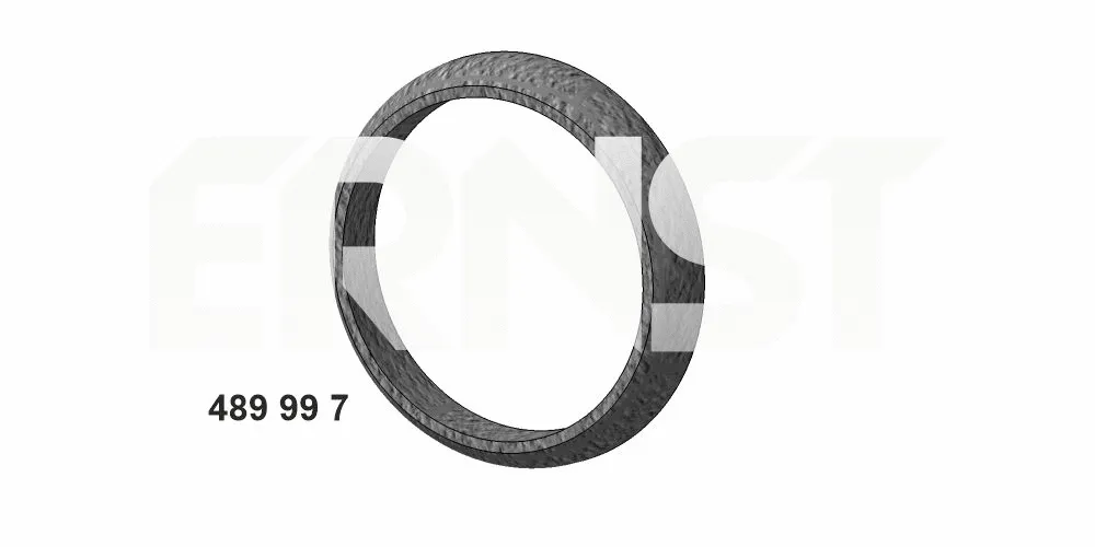 Seal Ring, exhaust pipe (489997)
