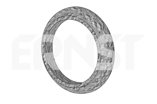 Seal Ring, exhaust pipe (491969)