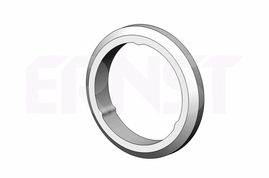 Seal Ring, exhaust pipe (498678)