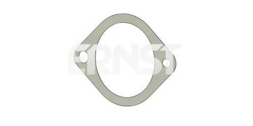 Gasket, exhaust pipe (490597)