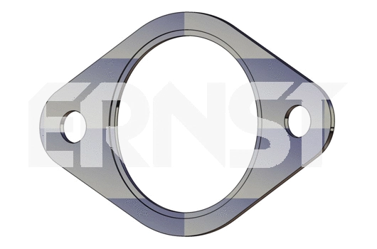 Gasket, exhaust pipe (491303)