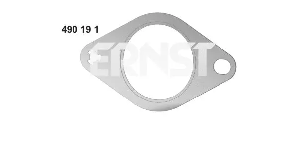 Gasket, exhaust pipe (490191)