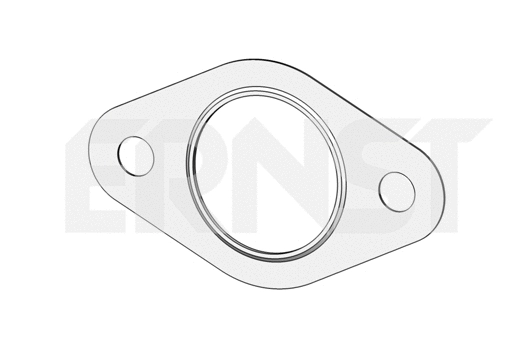 Gasket, exhaust pipe (496001)