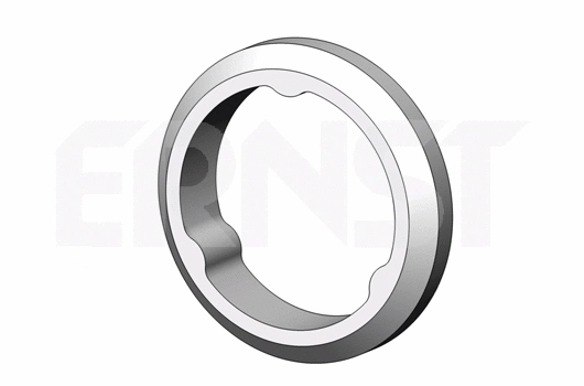 Seal Ring, exhaust pipe (498692)