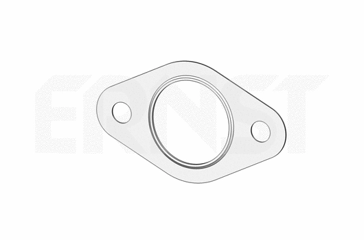 Gasket, exhaust pipe (495585)