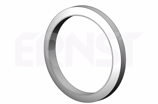 Seal Ring, exhaust pipe (495561)