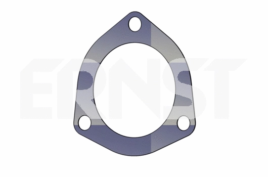 Gasket, exhaust pipe (491808)