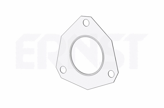Gasket, exhaust pipe (496506)