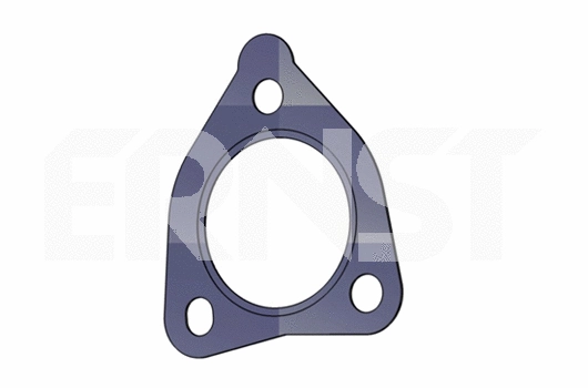 Gasket, exhaust pipe (491549)