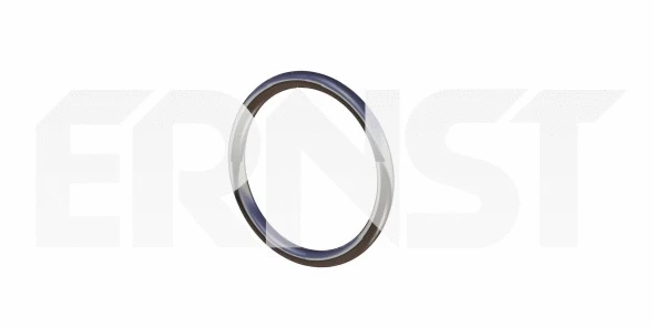 Seal Ring, exhaust pipe (490924)