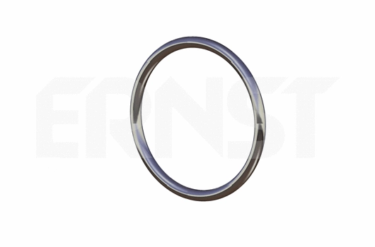 Seal Ring, exhaust pipe (493130)
