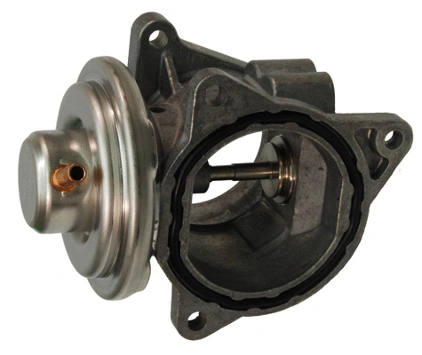 EGR Valve (EGR016)
