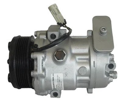 Compressor, air conditioning (81.10.40.011)