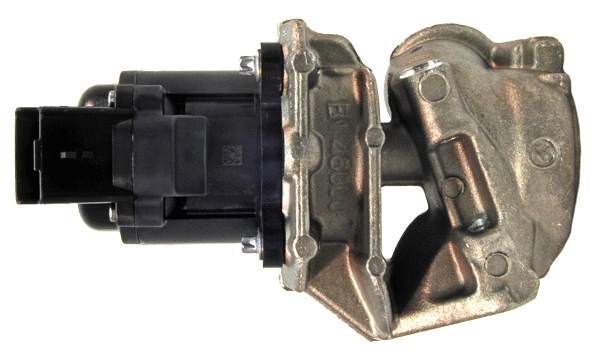 EGR Valve (EGR018)