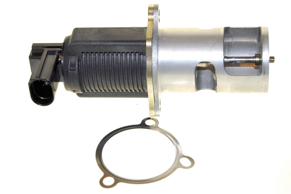 EGR Valve (EGR013)