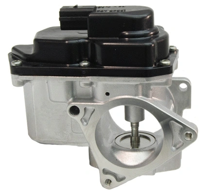 EGR Valve (EGR020)