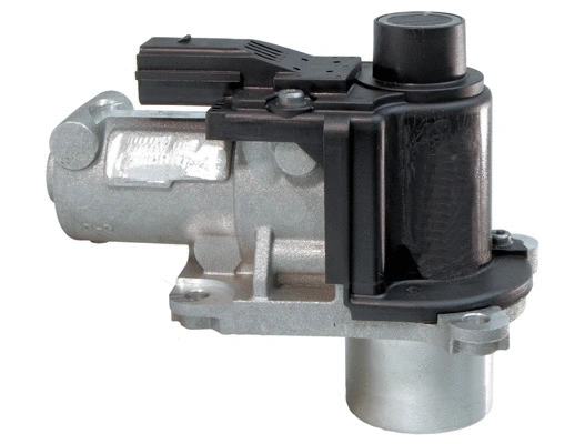 EGR Valve (EGR025)