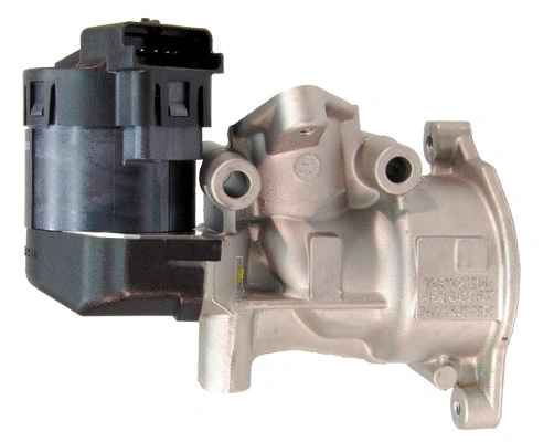 EGR Valve (EGR004)