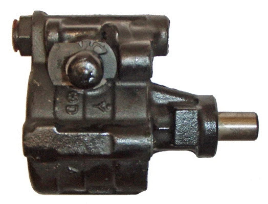 Hydraulic Pump, steering (04.09.0600)