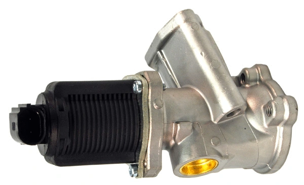 EGR Valve (EGR010)