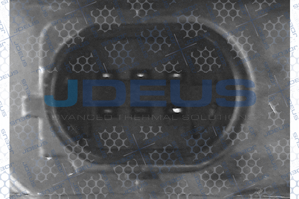 EGR Module