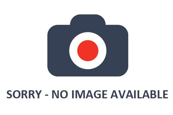 Brake Disc (1815203727)