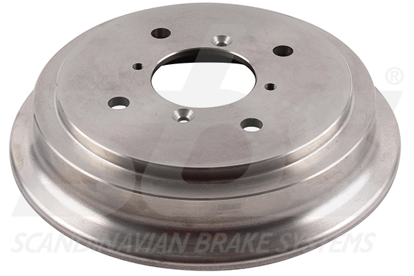 Brake Drum (1825255208)