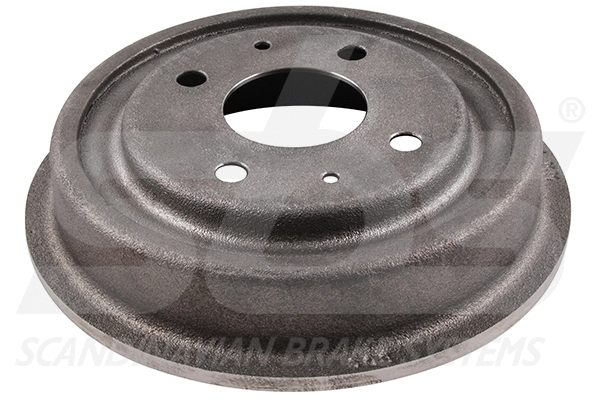 Brake Drum (1825252516)