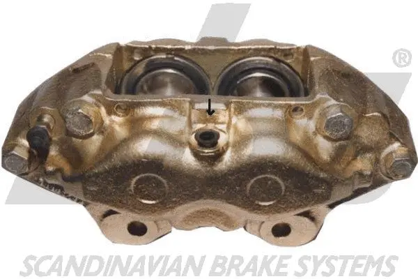 Brake Caliper (1301213988)
