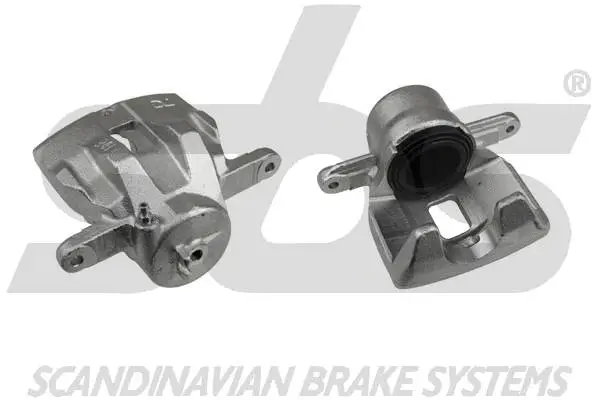 Brake Caliper (1301215260)