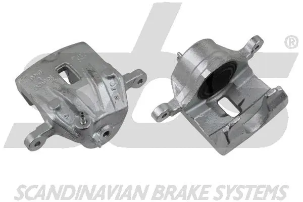 Brake Caliper (1301213509)
