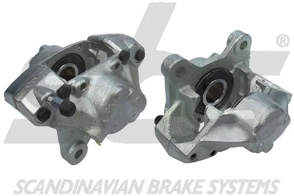Brake Caliper (1301214856)